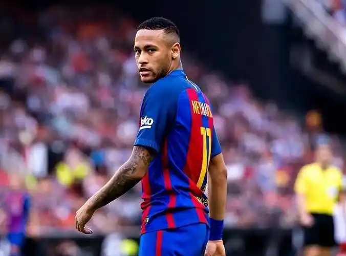 了解这些根 了解这些根