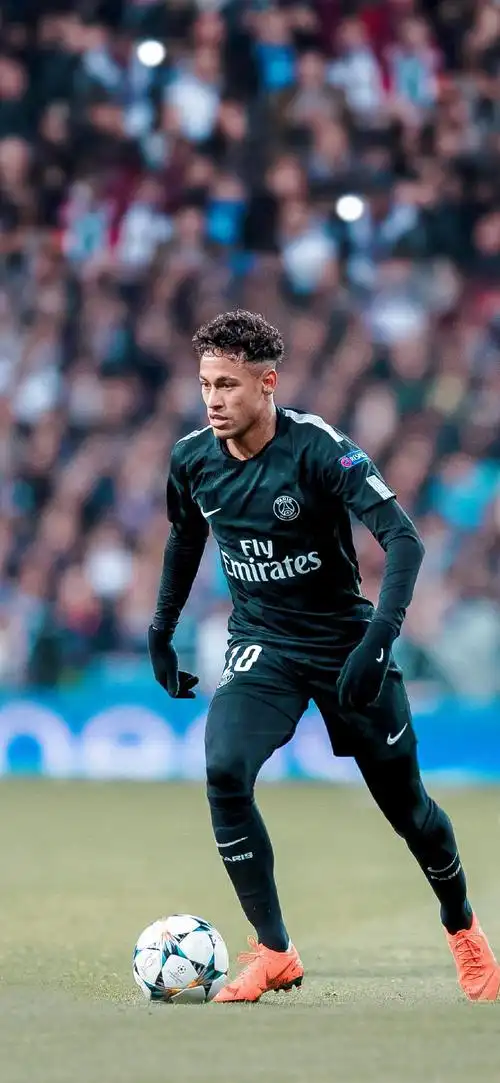 纪律性强 纪律性强