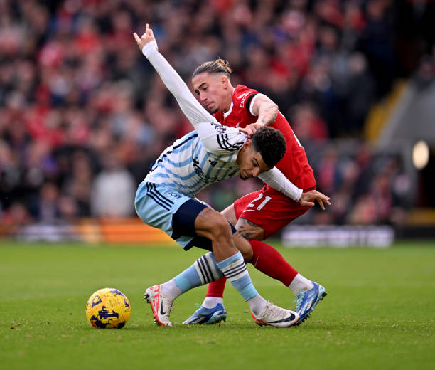 不仅要在训 不仅要在训